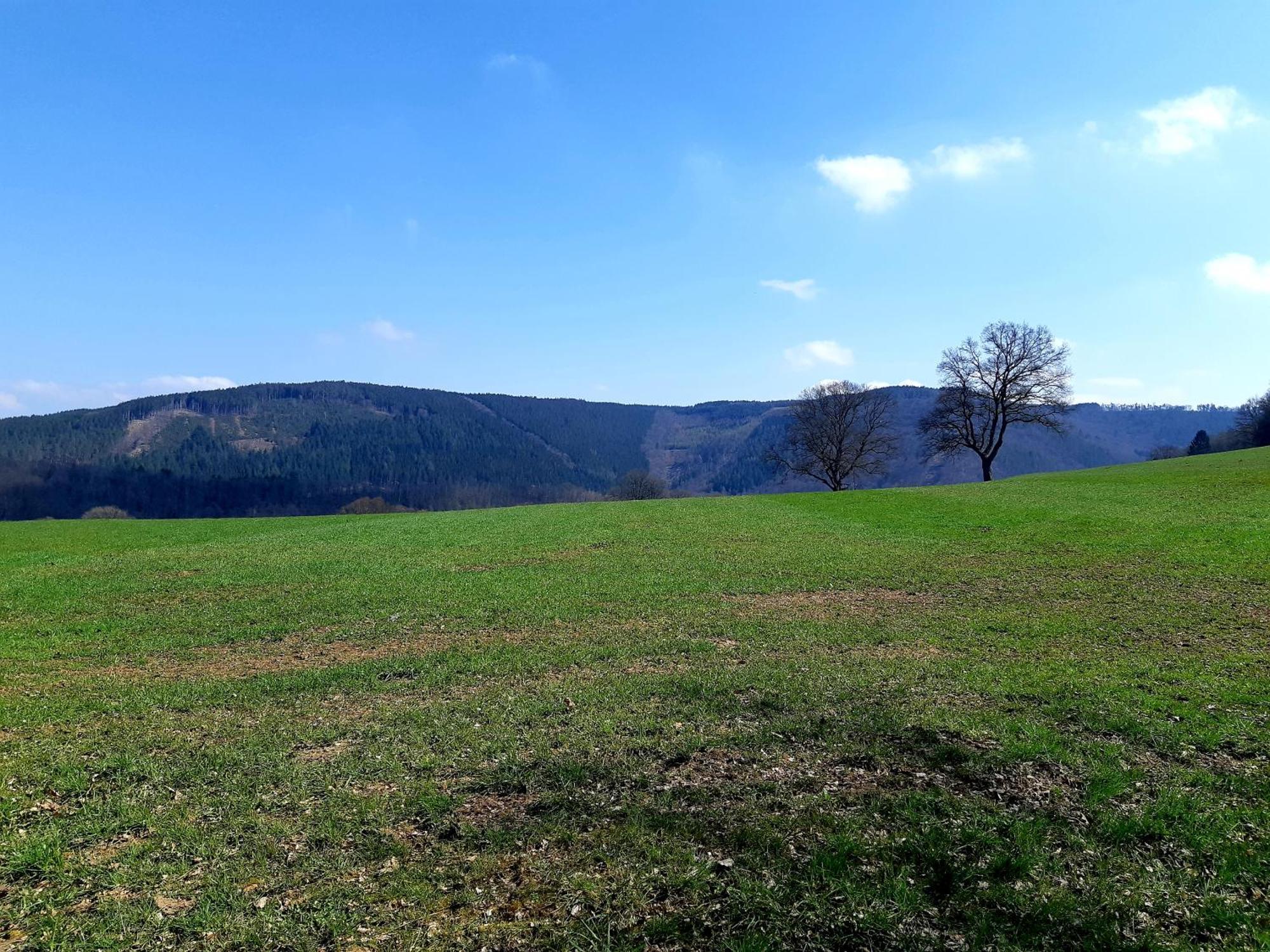 La Maison Des Senteurs Francorchamps Εξωτερικό φωτογραφία